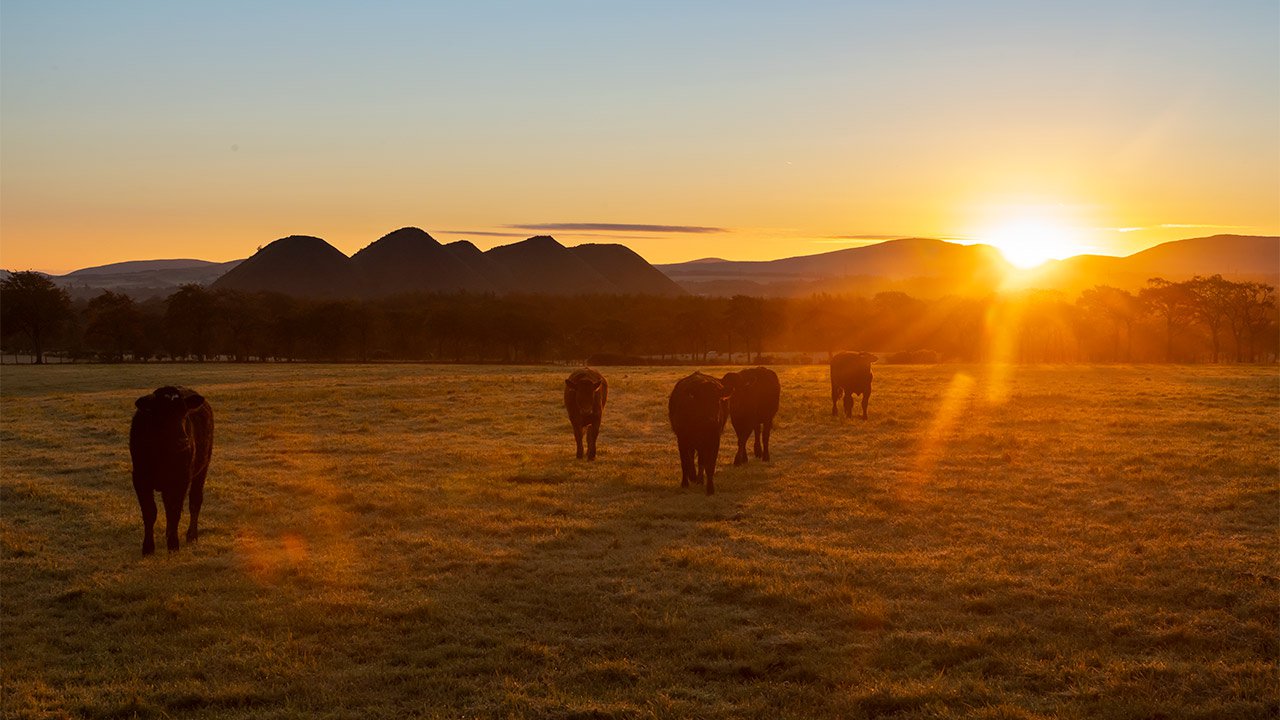 Shale-Trail-Five-Sisters-Sunrise-Coos-websized.jpg