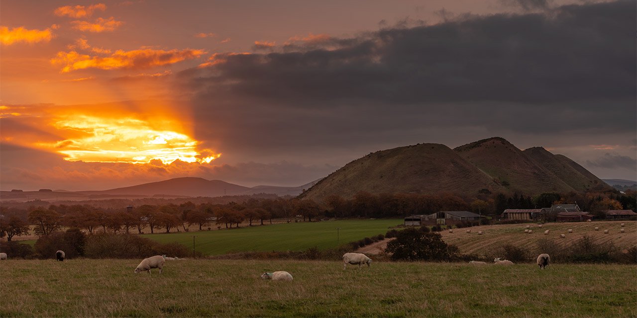 Shale-Trail-Five-Sisters-Sunrise-Sheep-websized.jpg