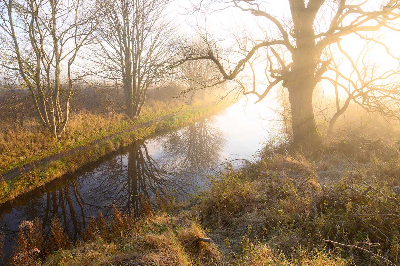 Shale-Trail-Winchburgh-Canal-Haar.jpg